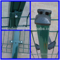 Plastic Coated French Fence(Golden supplier)